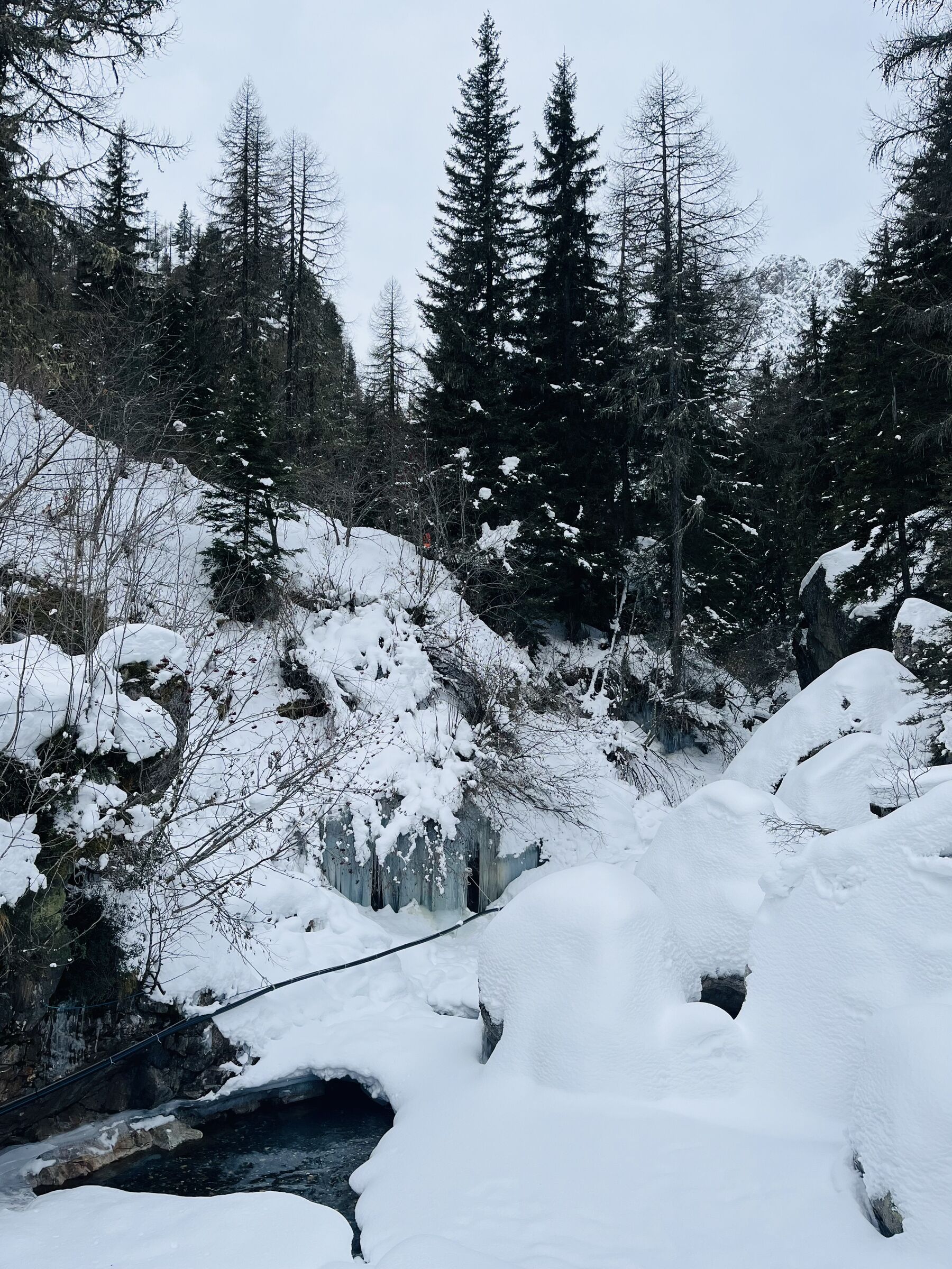 Nature, a living language