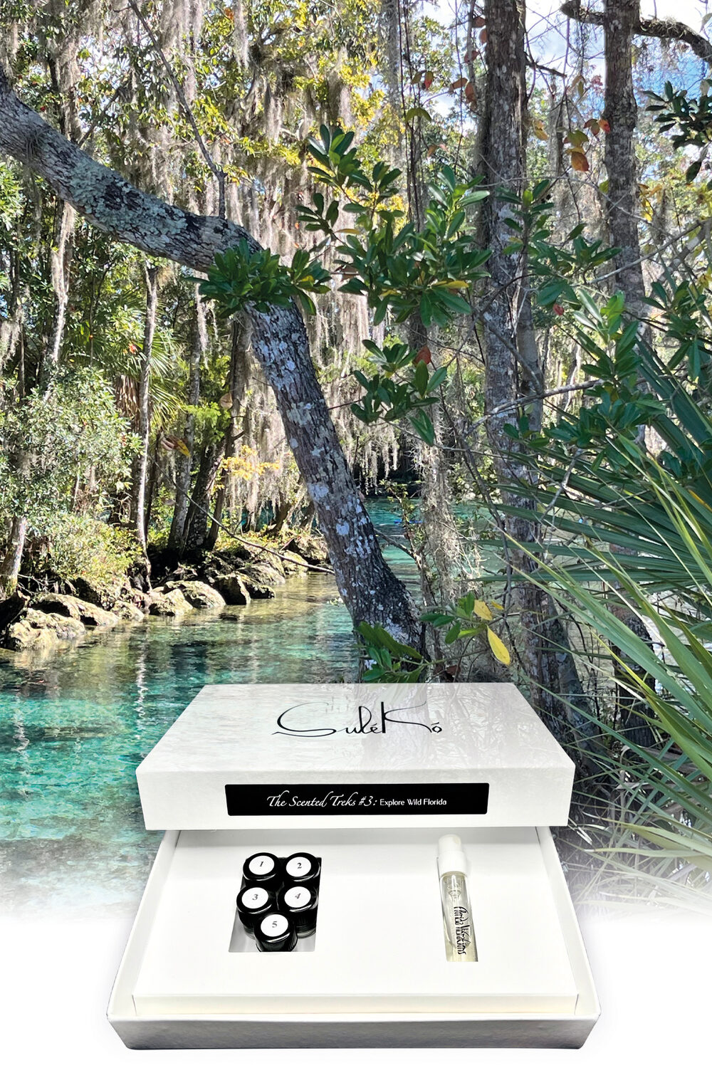 Florida masterclass — spring