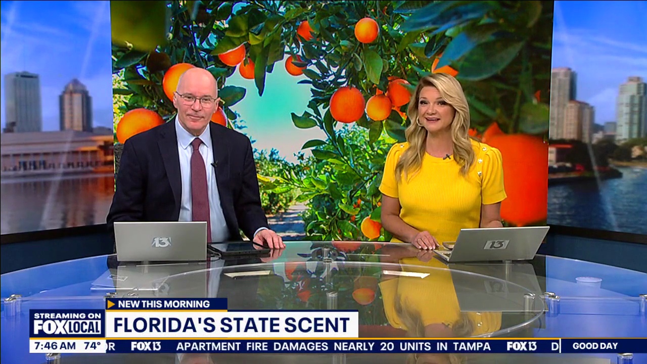 Florida Vibrations on FOX 13