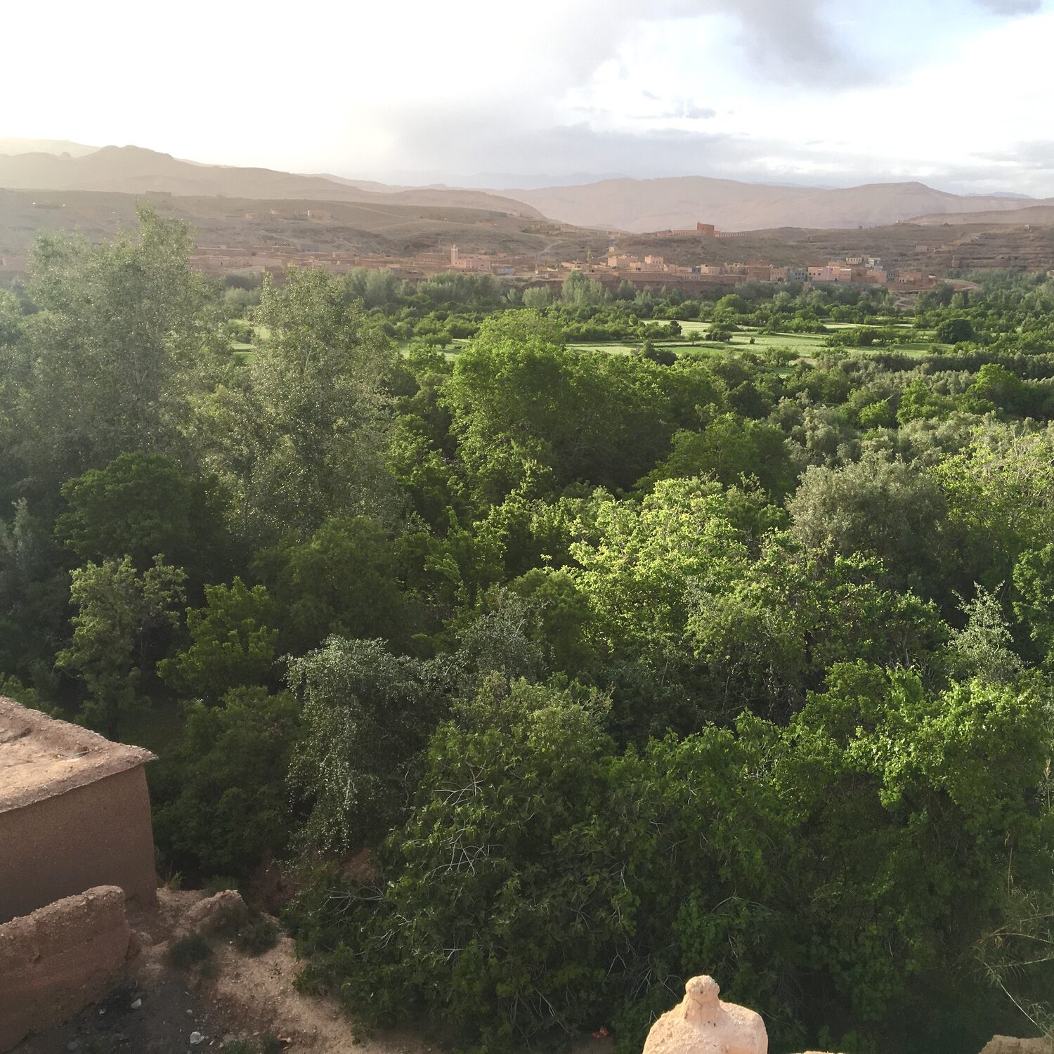 Morocco’s Valley of Roses